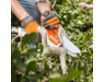 ga010116918-stihl-04