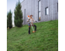 fa032000015-stihl-10