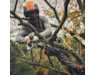 ga040116918-stihl-14