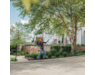 41822000202-stihl-16