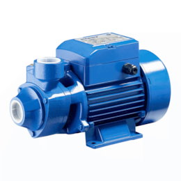 Eletrobomba Superfície QB 70 220W