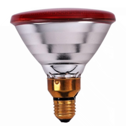 Lâmpada de Aquecimento p/ Animais 100W