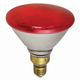 Lâmpada de Aquecimento p/ Animais 175W Philips